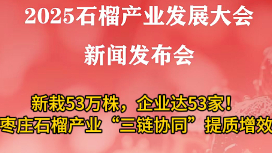 2024年枣庄市新栽植石榴53万余株 石榴加工企业增至53家