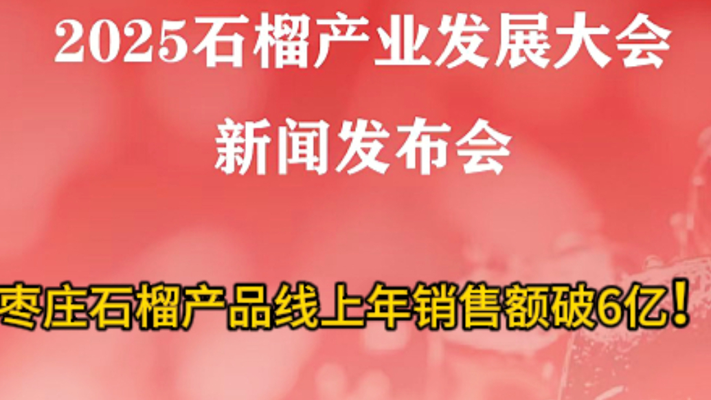 枣庄石榴产品线上年销售额破6亿