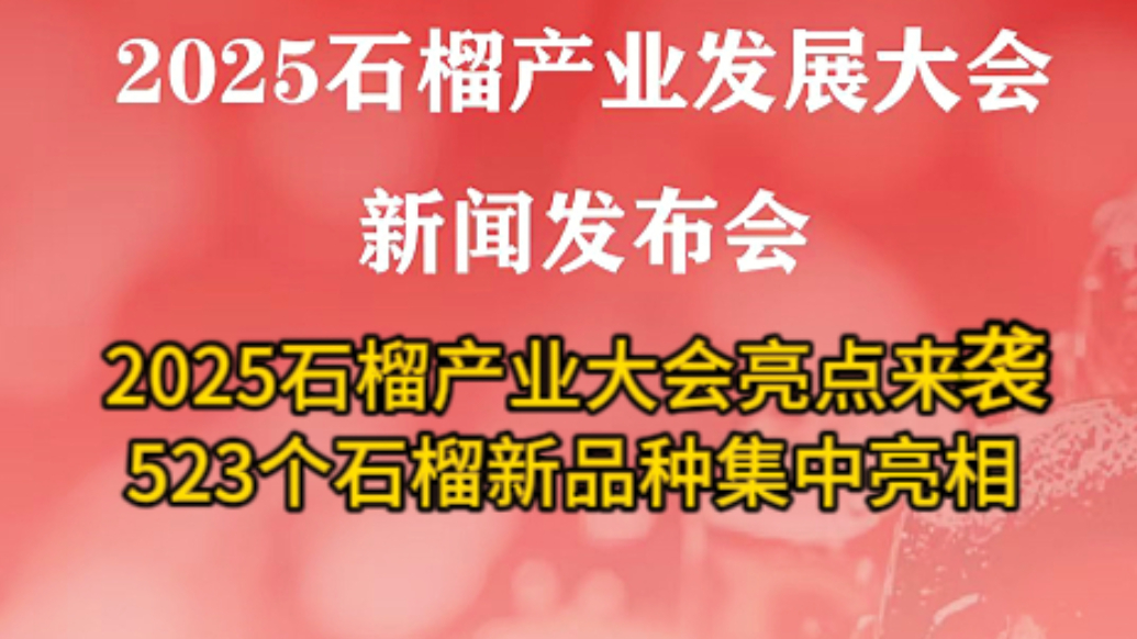 2025石榴产业大会亮点来袭 523个石榴新品种集中亮相