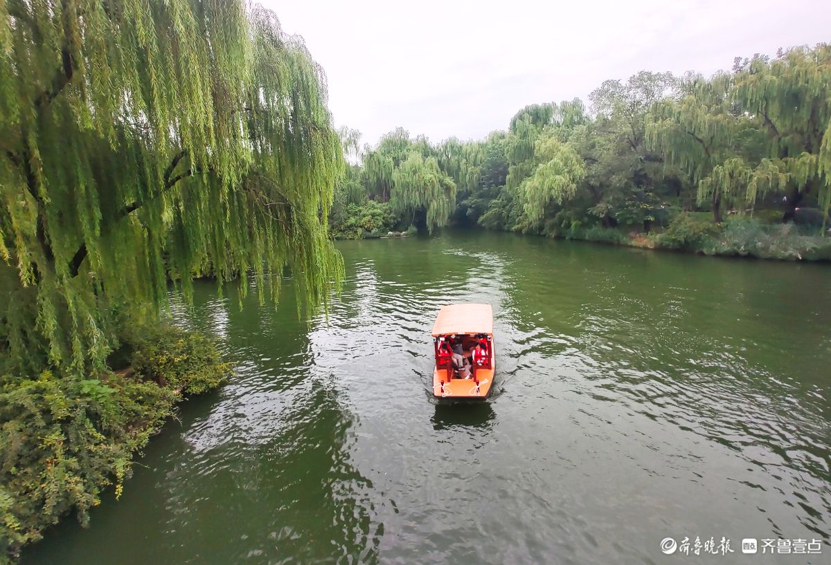 乘游船赏明湖，品“一城山色半城湖”诗意 