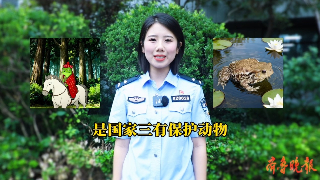 果然视频丨《浪浪山小妖怪》的角色原型是啥？这师徒四人可不能吃