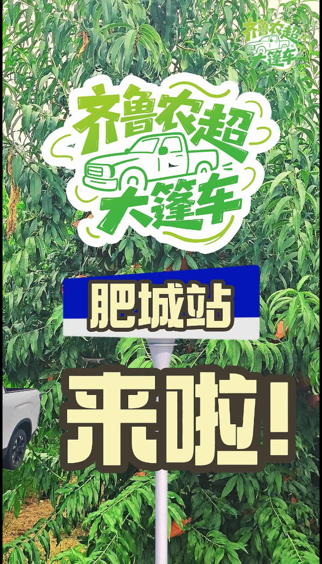 齐鲁农超大篷车|在泰安肥城感受千年桃木历史