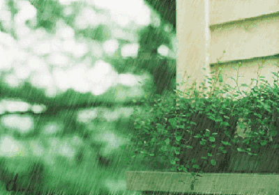 9月16日最佳情报|济南秋雨如约降至，大明湖莲蓬千姿百态！