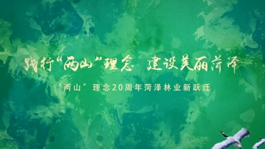 9月19日-21日，第20届中国林交会将在曹县庄寨盛大启幕！