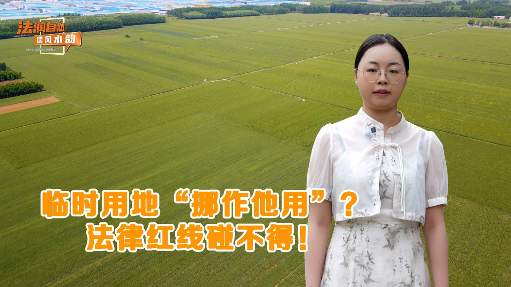 果然视频|临时用地“挪作他用”？法律红线碰不得！