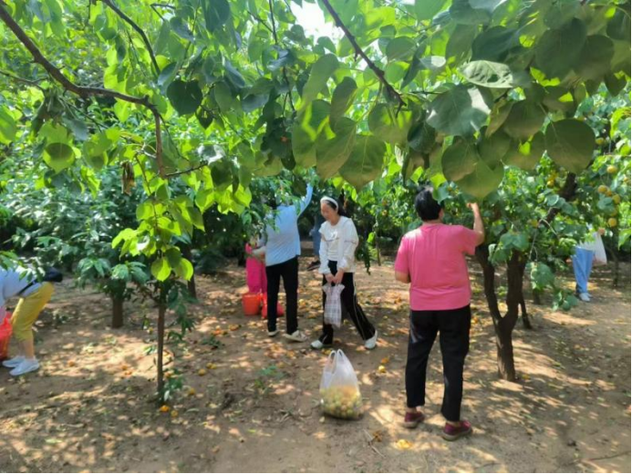 人保寿险山东省分公司深入贯彻“金融为民”理念，为民办实事
