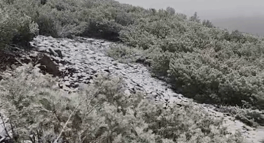 黑龙江大兴安岭呼中区迎来金秋首场降雪