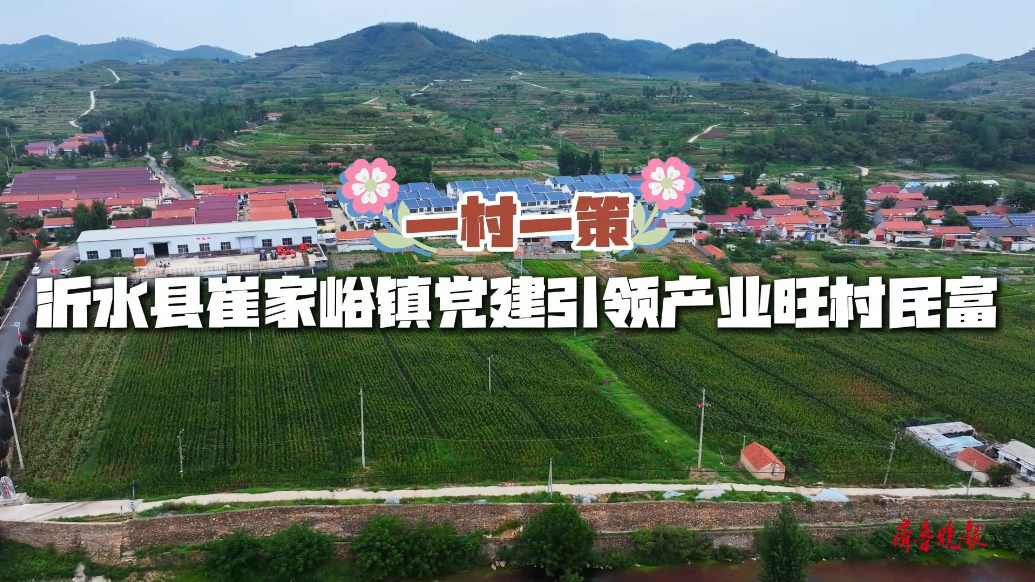 果然视频|一村一策，沂水县崔家峪镇党建引领产业旺村民富