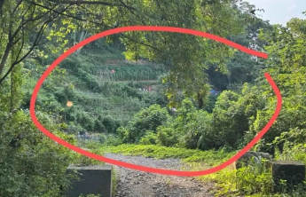 “化骨水”致人死亡，谁该担责