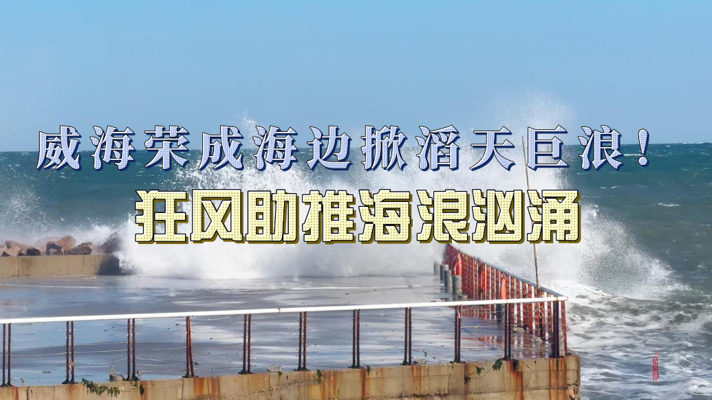 果然视频丨威海荣成海边掀滔天巨浪！层层叠浪拍岸超震撼