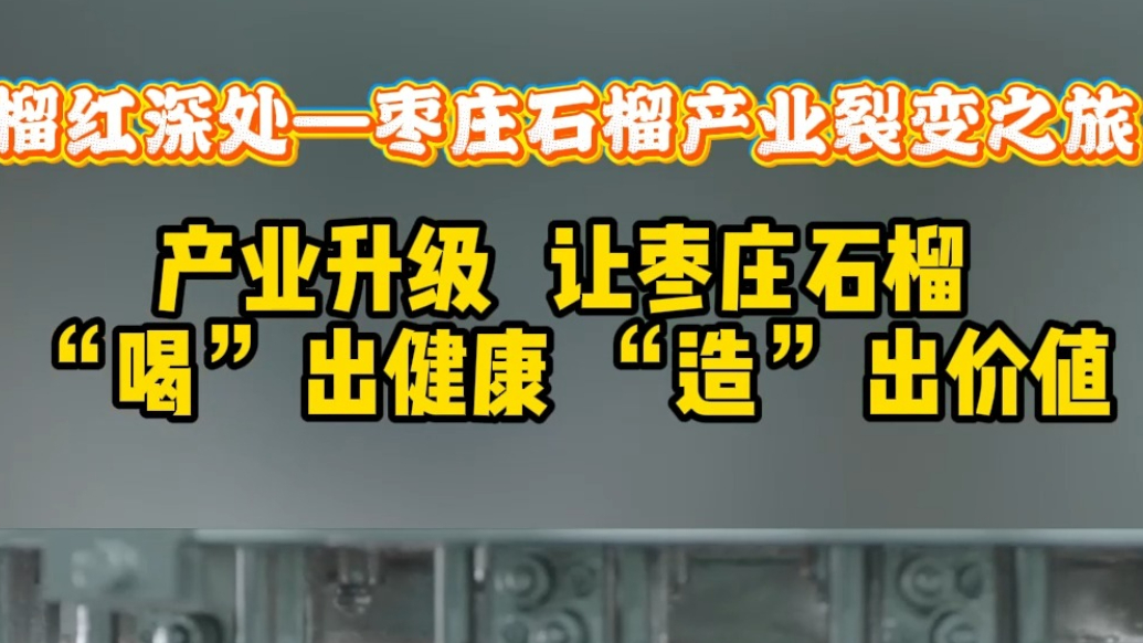 榴红深处—产业升级 让枣庄石榴“喝”出健康“造”出价值