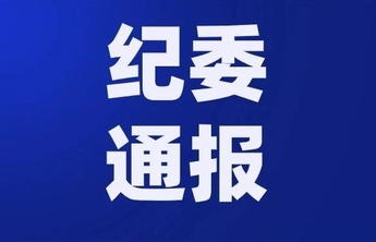 泰安高新发展集团有限公司原党委委员、副总经理王奎祥严重违纪违法被开除党籍和公职