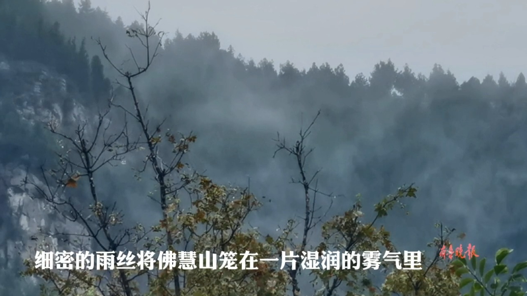 果然视频|秋雨绵绵，济南佛慧山雾气缭绕