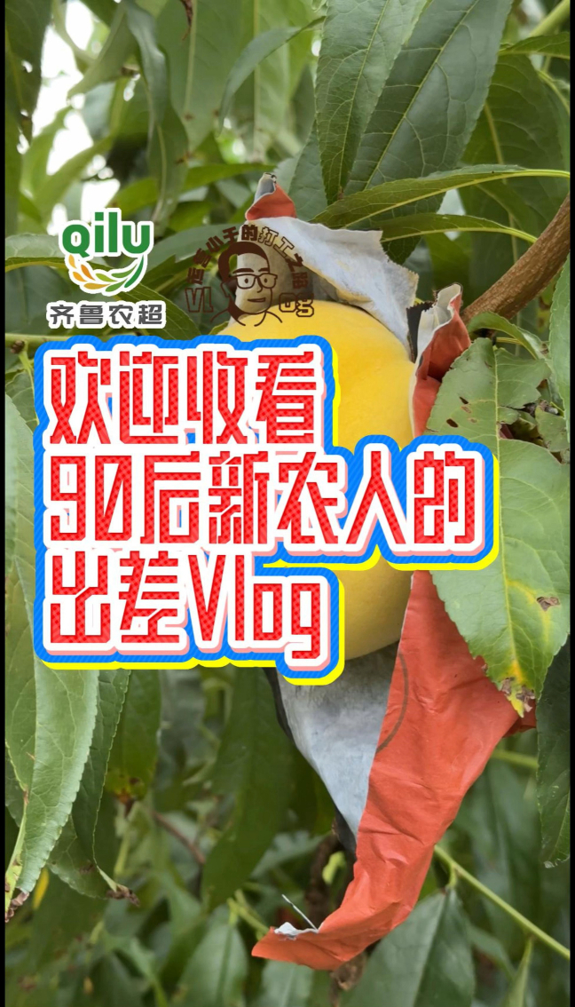 小于vlog|这里的桃子拳头大，更藏牛郎织女爱情传说