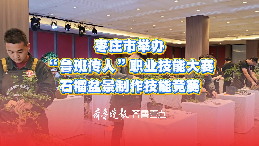 枣庄市举办“鲁班传人”职业技能大赛—石榴盆景制作技能竞赛