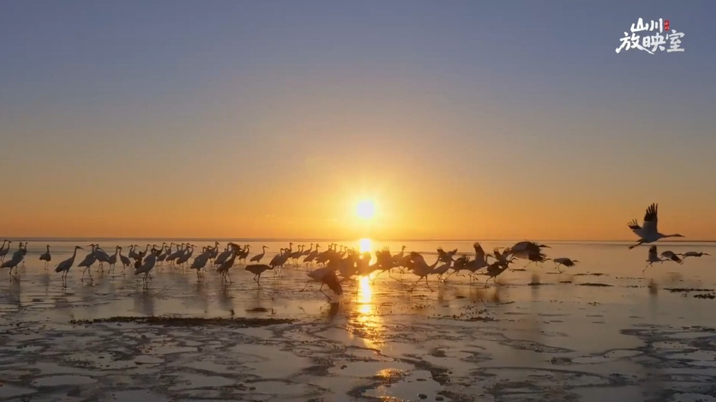 Shandong's natural beauty to shine globally