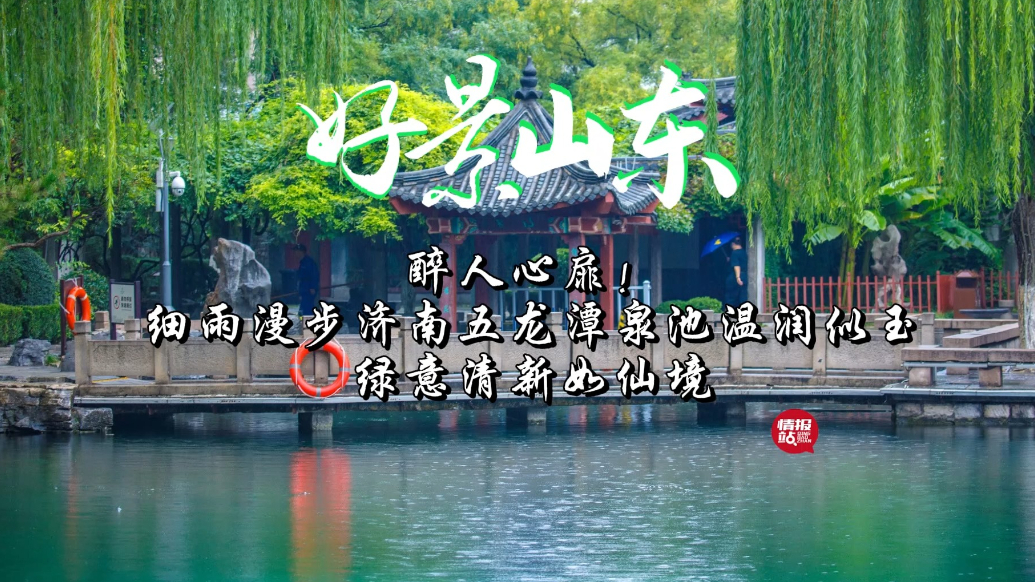 果然视频·好景山东|细雨中漫步济南五龙潭，绿意清新醉人心扉！