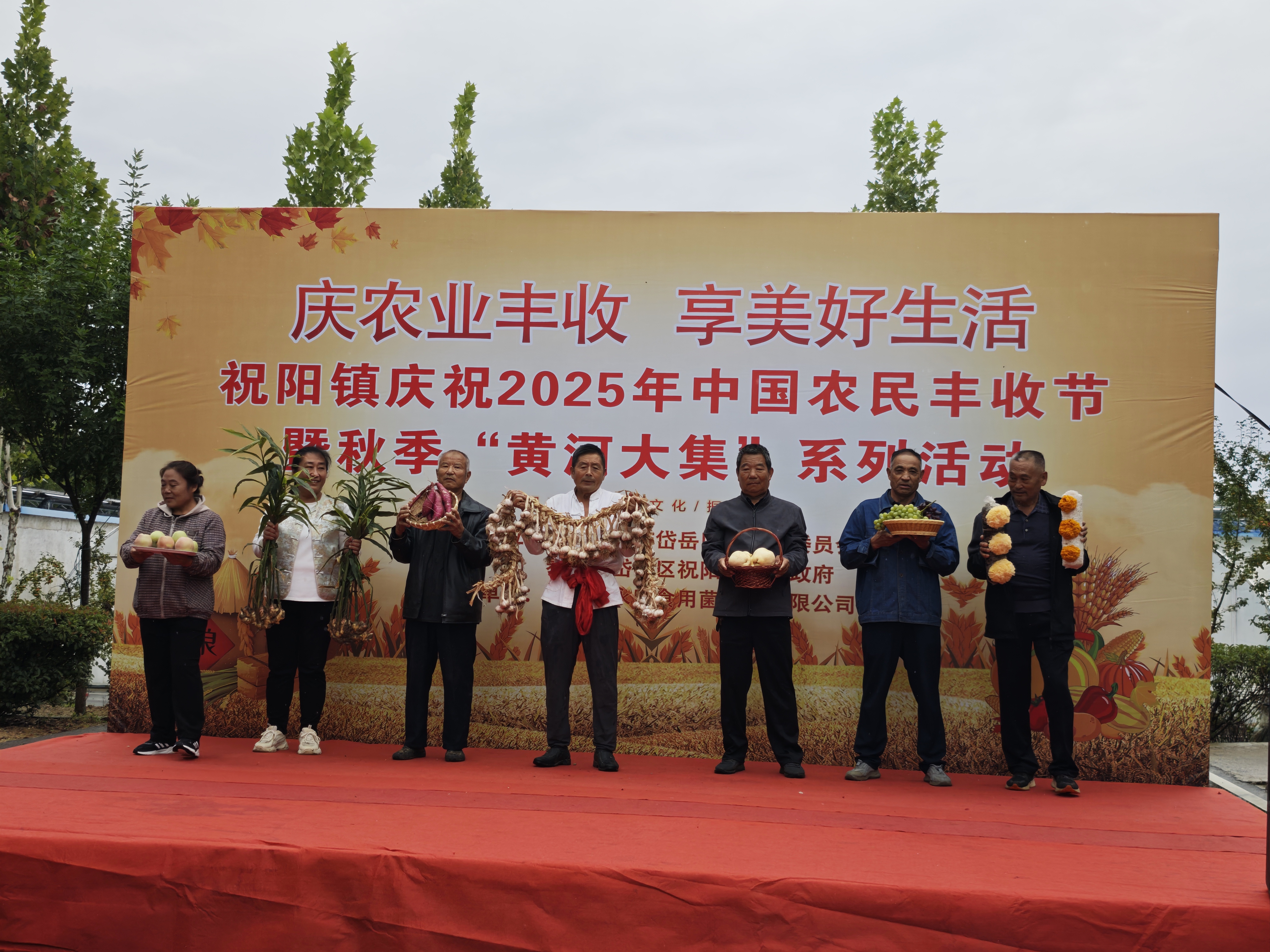 泰安市岱岳区祝阳镇举行庆祝中国农民丰收节活动，机器狗穿舞狮装现场助兴