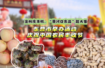 金秋庆丰收，东营市举办系列活动庆祝中国农民丰收节