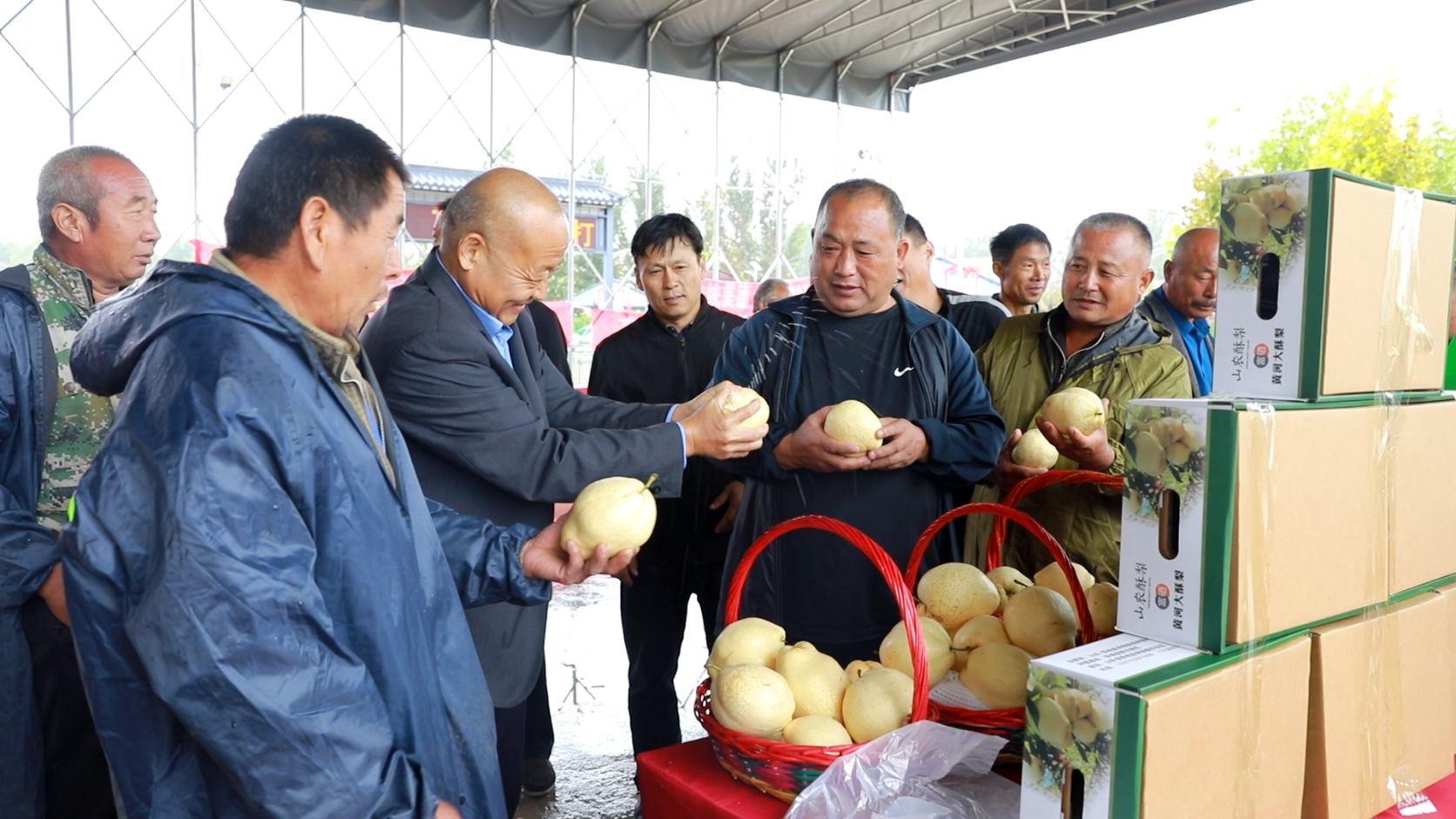 菏泽郓城：黄河岸边庆丰收 兴业富民绘新篇