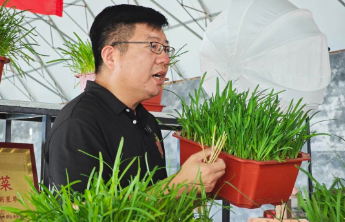 金秋新丰收|网红村书记背后的“操盘手”