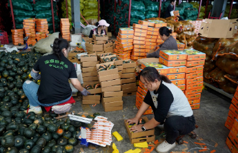 金秋新丰收|一个单品搭起全链条，一年卖出两亿斤的“南瓜密码”