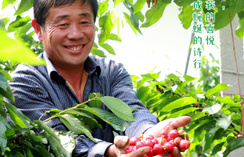 壹点海报|潍坊四季“在线”的丰收图景