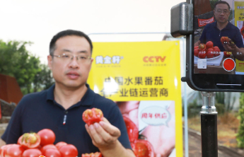 壹点海报|金秋新丰收，潍有“新”图景