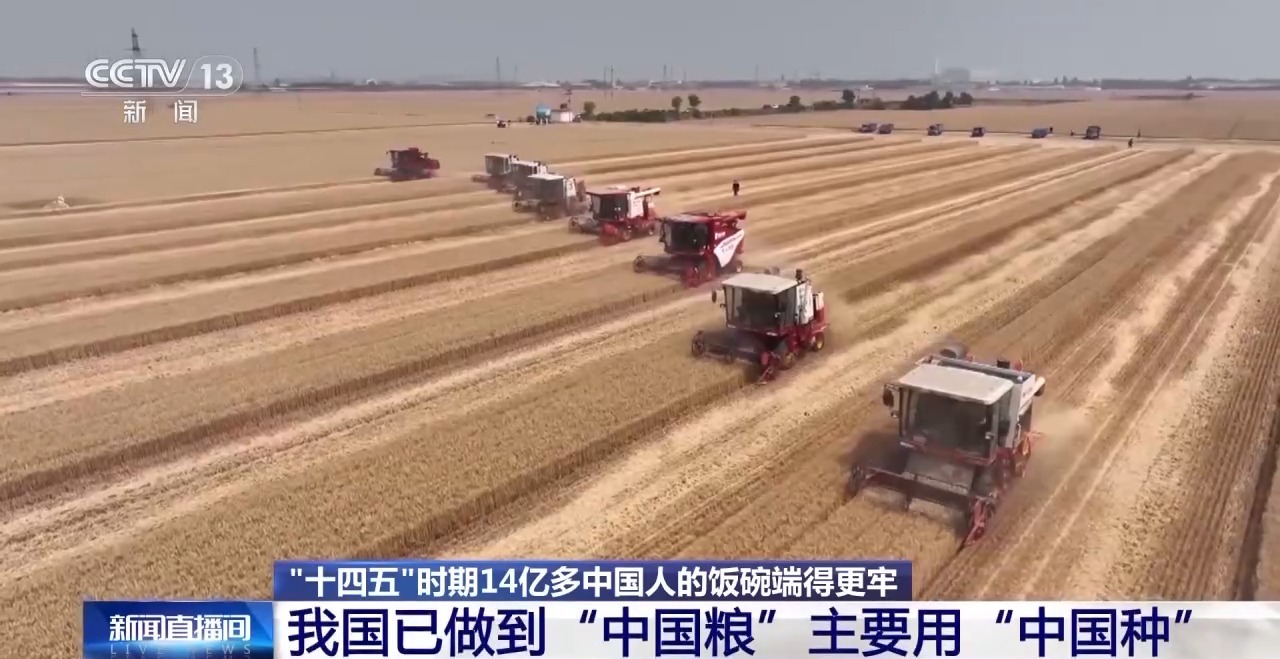 人均粮食占有量达500公斤，14亿多中国人的饭碗端得更牢