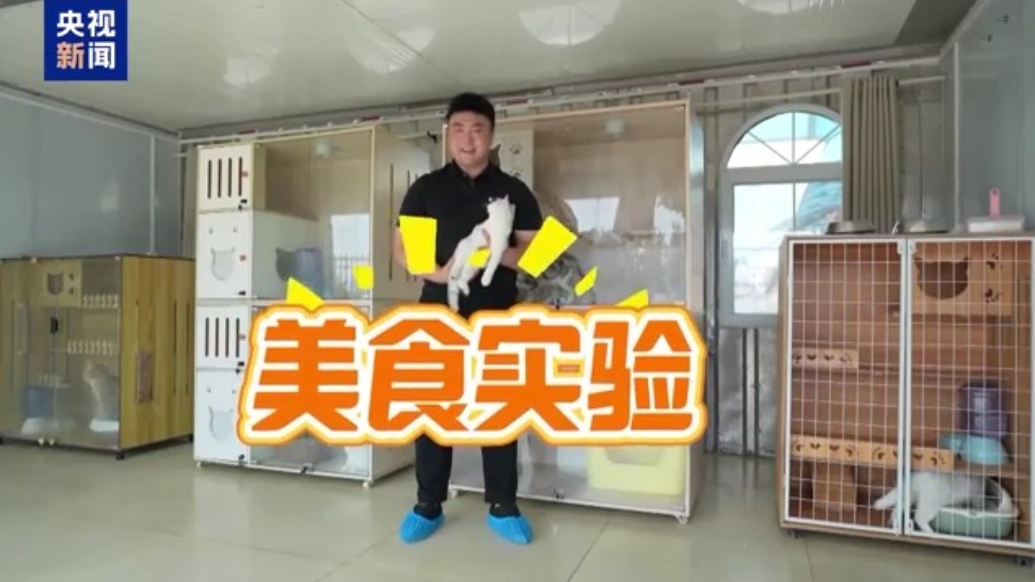 宠物“美食”诞生记：山东这样征服“它”的胃