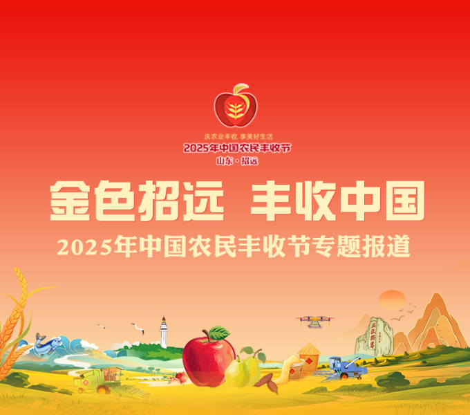 秋分时节共庆丰年！9月23日，2025年中国农民丰收节全国主场活动在烟台招远大户陈家村盛大启幕。齐鲁晚报·齐鲁壹点烟台融媒中心推出“金色招远 丰收中国”——2025中国农民丰收节专题报道，全方位展现欢庆丰收的喜悦，带您感受和美乡村的独特魅力。