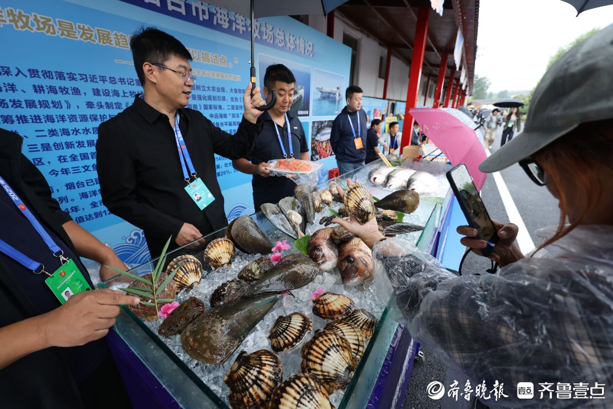 图集｜近三百种苹果和梨！中国农民丰收节活动现场亮“丰收宝贝”