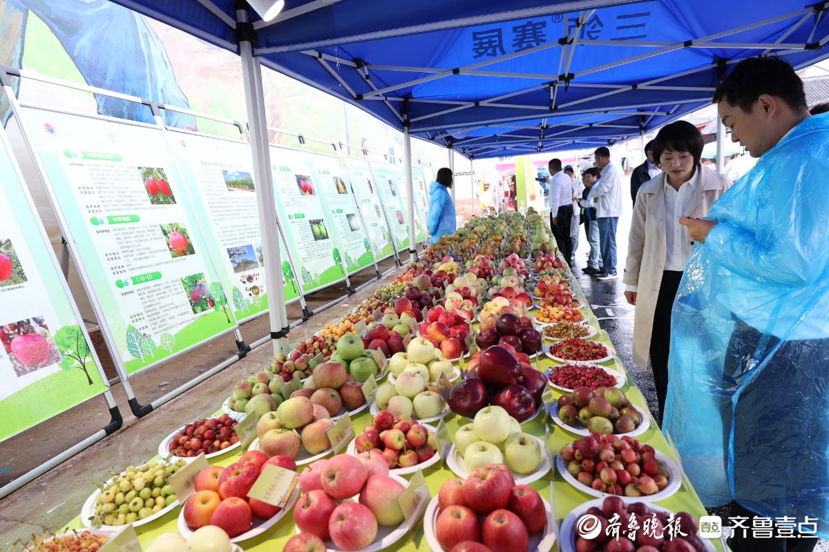 图集｜近三百种苹果和梨！中国农民丰收节活动现场亮“丰收宝贝”