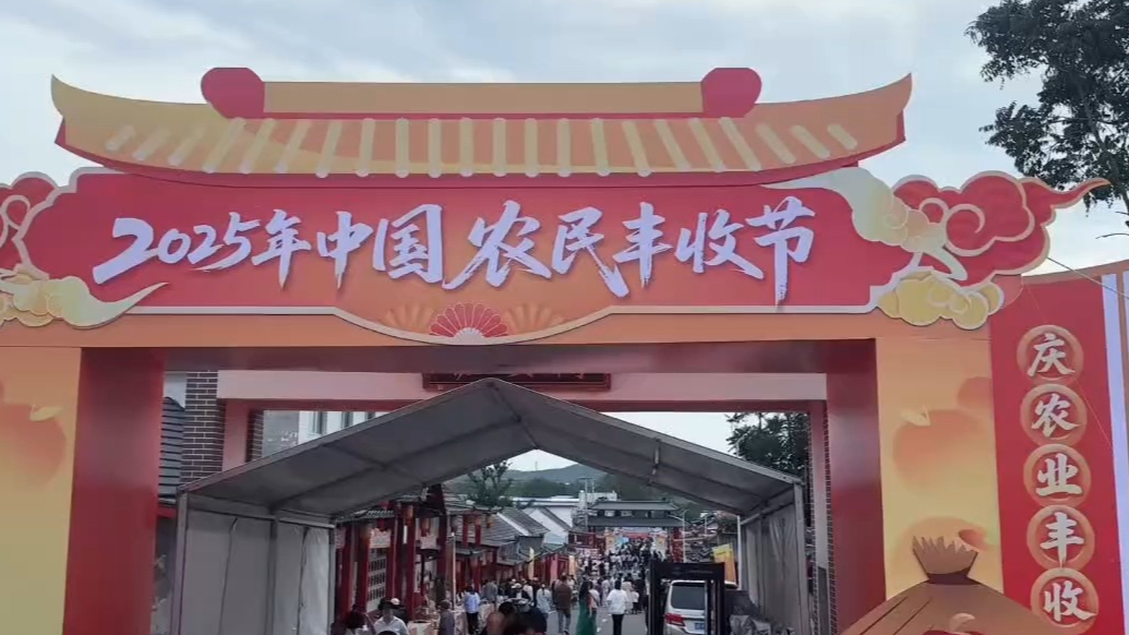 果然视频｜“丰收盛宴”引客，招远大户陈家村各类客房“满房”