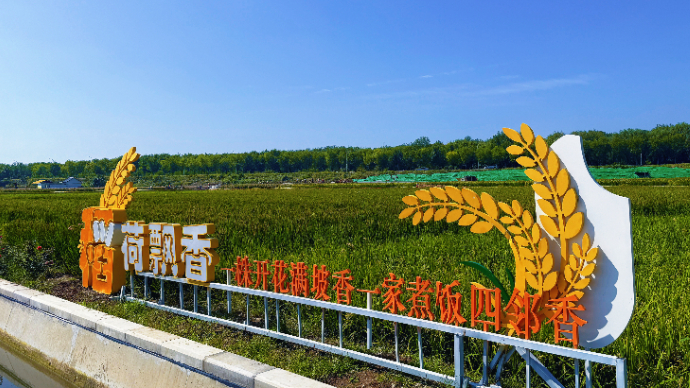 直播济南|2025章丘区庆祝第八个中国农民丰收节活动