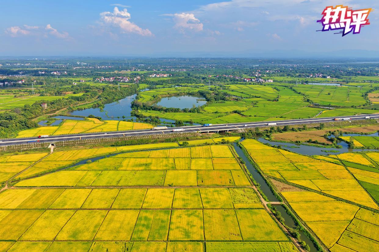 丰收，不止在田野间