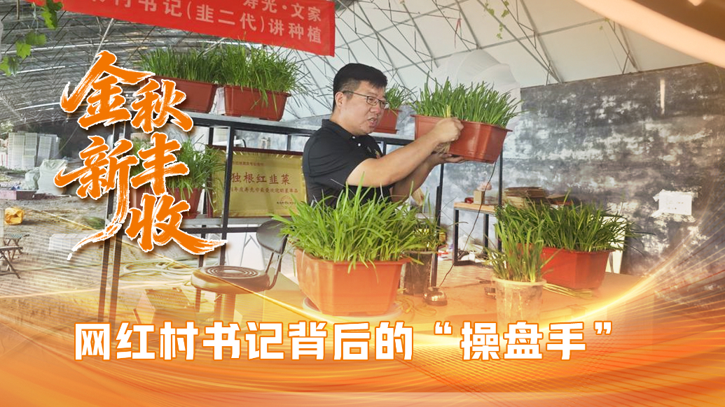 果然视频|网红村书记背后的“操盘手”