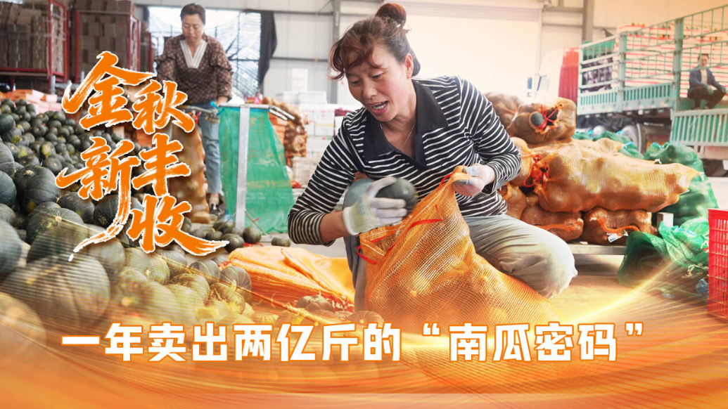 果然视频|一个单品搭起全链条，一年卖出两亿斤的“南瓜密码”