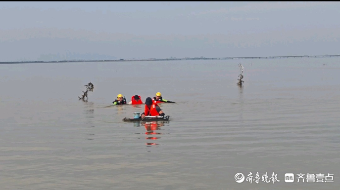 果然视频|俩游客赶海被困淤泥区，消防员助其脱险