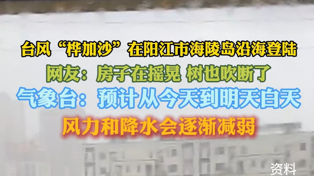 果然视频｜“桦加沙”登陆阳江吹断树木，气象台：明天强度减弱
