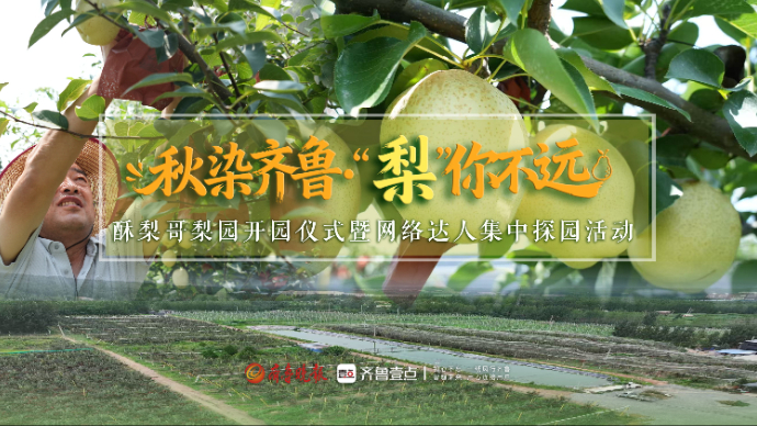 壹直播｜酥梨哥梨园开园仪式暨网络达人集中探园活动