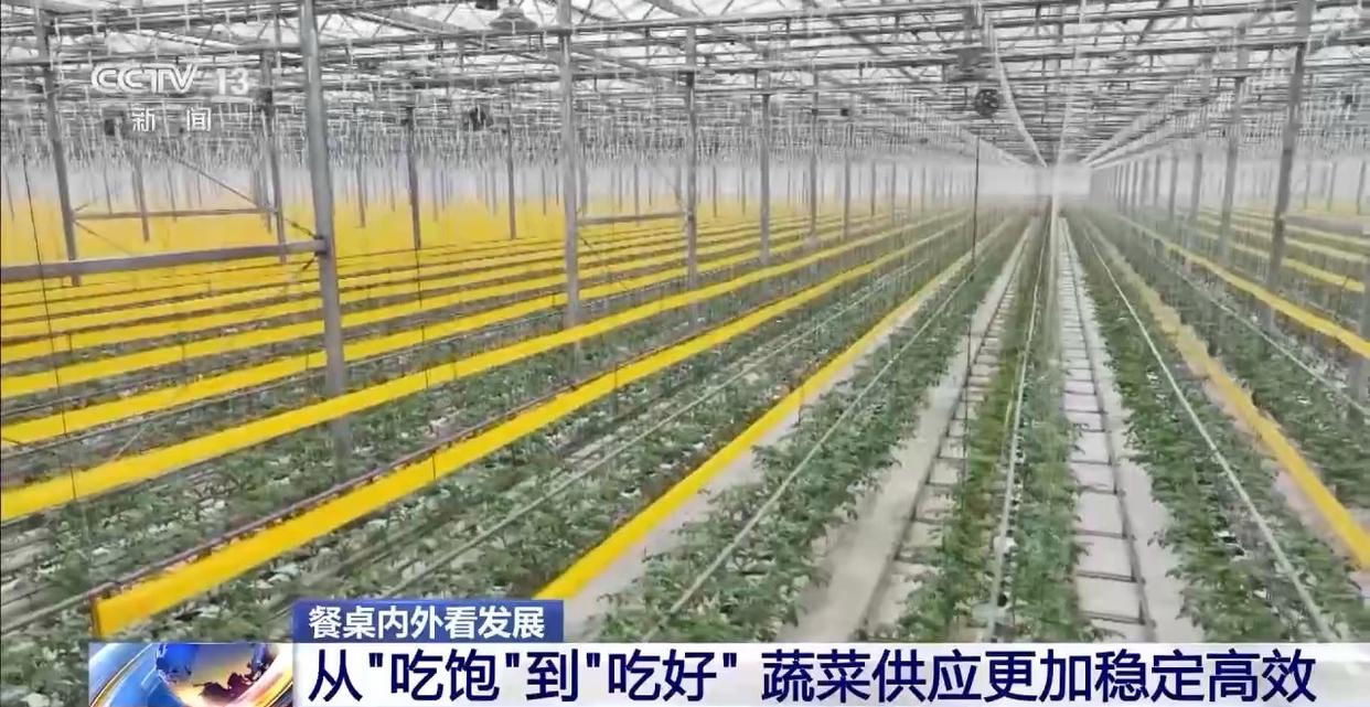 图片加载失败