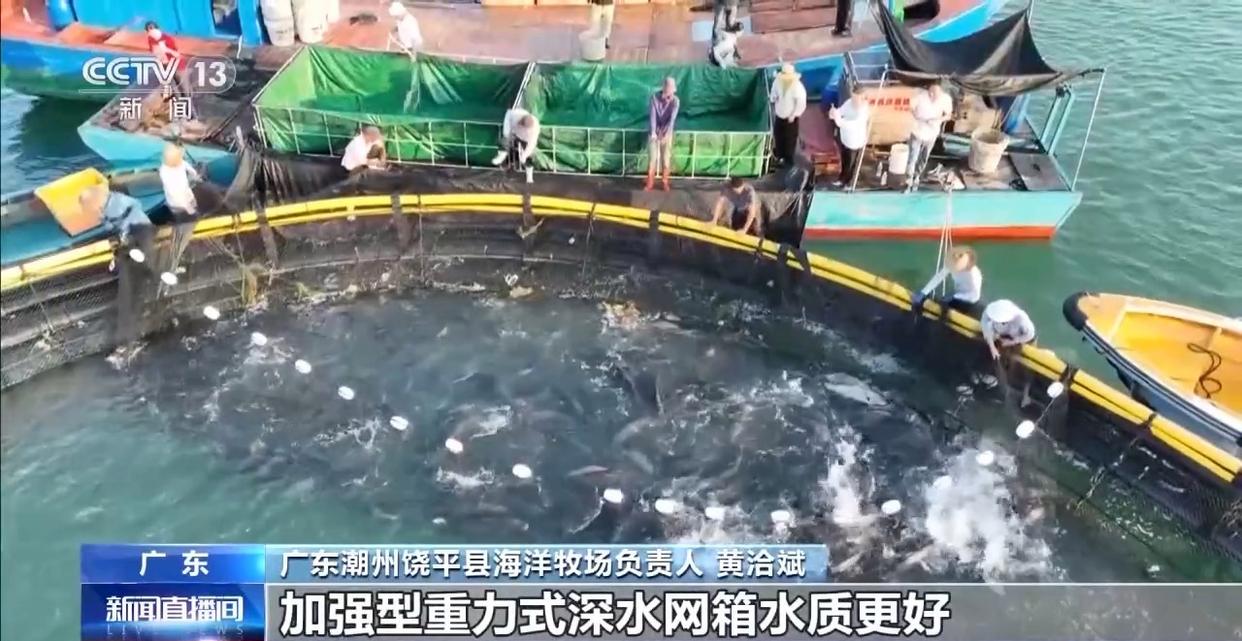 图片加载失败