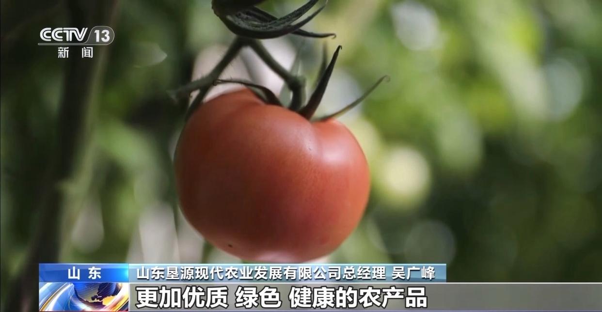 图片加载失败