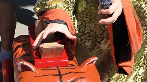 果然视频|祭孔仪式遇见 “小老虎” 乐器!