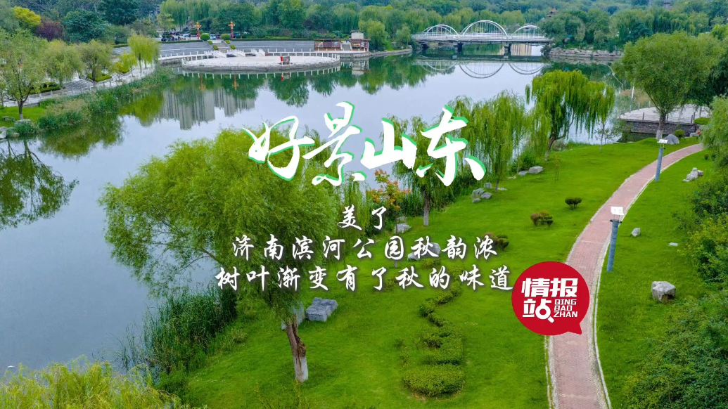 果然视频·好景山东|济南滨河公园秋韵浓，树叶渐变有了秋的味道