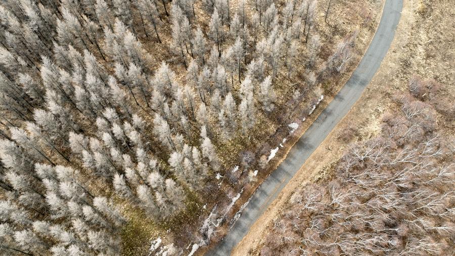 UNESCO adds 26 new biosphere reserves, including 2 in China