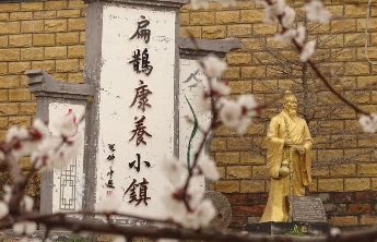 一缕药香出田野,济南长清中医药产业发展跃上新台阶