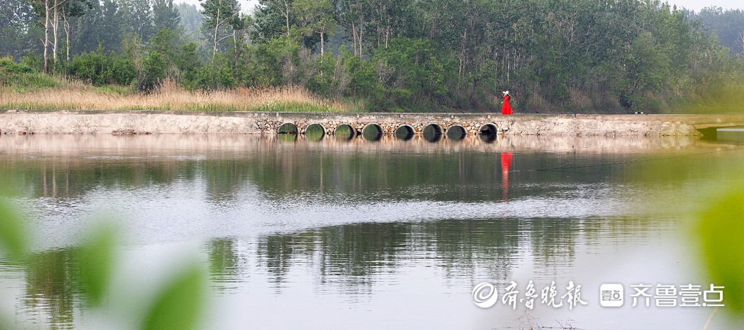 绘就幸福河湖新画卷！烟台“十廊百河千村”行动专题报道