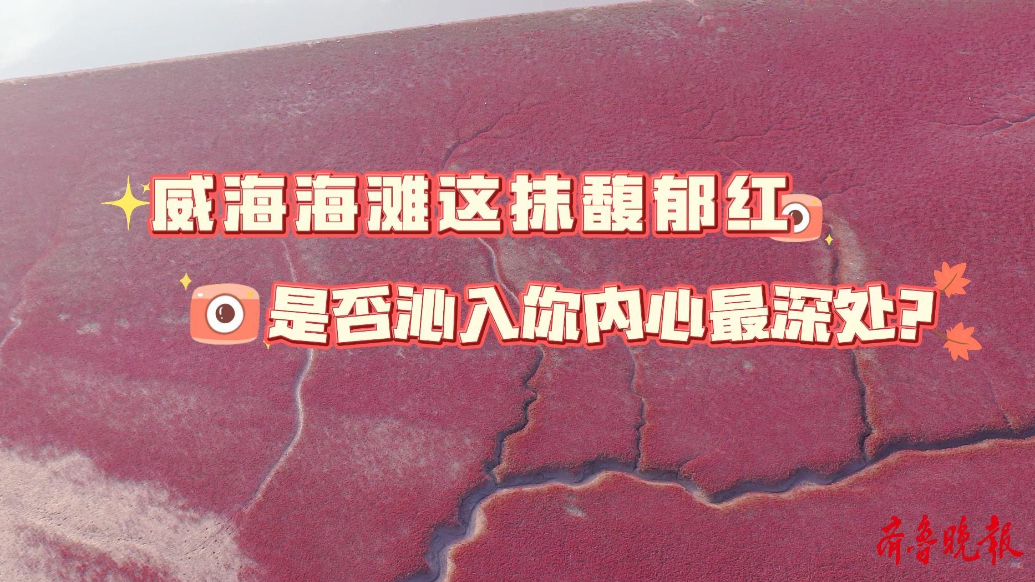 果然视频｜威海海滩这抹馥郁红，是否沁入你内心最深处？